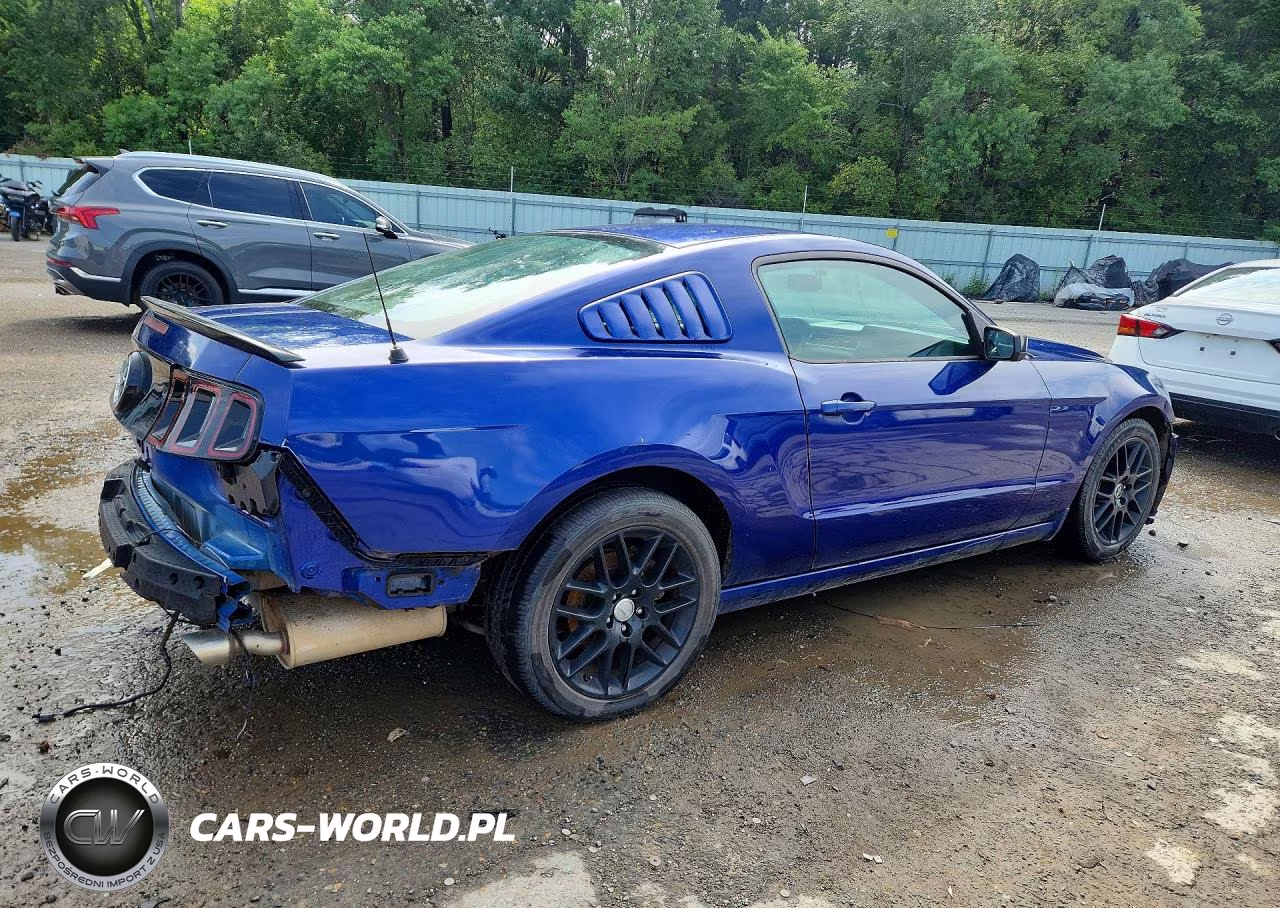 2014 Ford Mustang VIN:1ZVBP8AM8E5301725 - 3