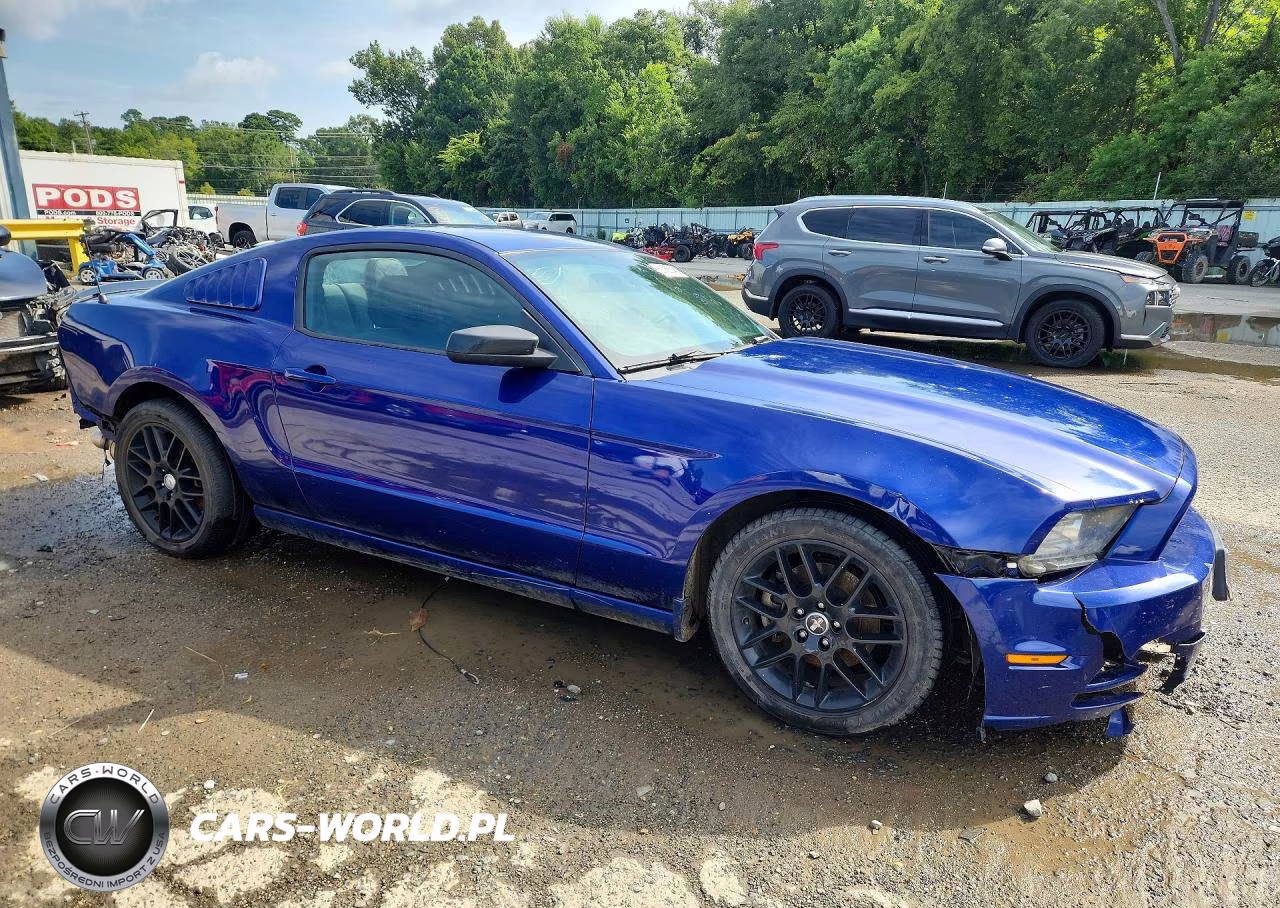 2014 Ford Mustang VIN:1ZVBP8AM8E5301725 - 4