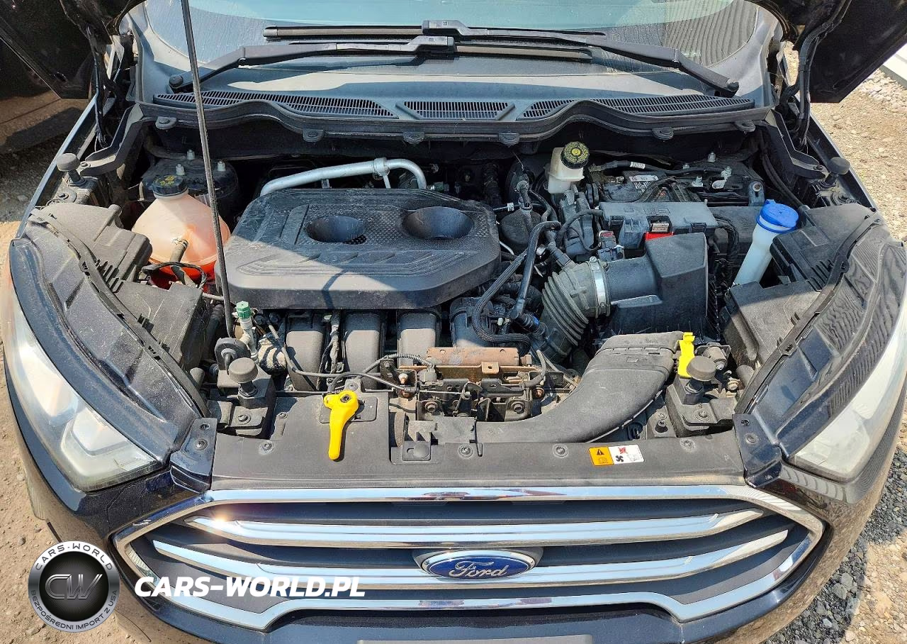 2020 Ford Ecosport Titanium VIN:MAJ6S3KLXLC392670 - 12