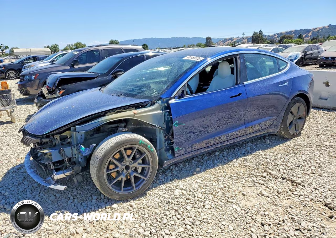 2019 Tesla Model 3