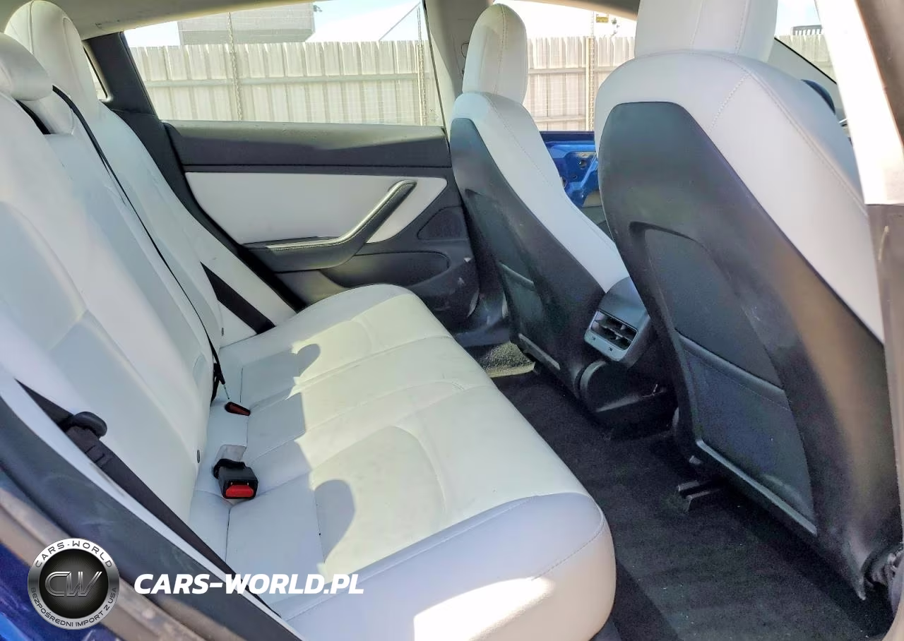 2019 Tesla Model 3 VIN:5YJ3E1EA6KF317968 - 10