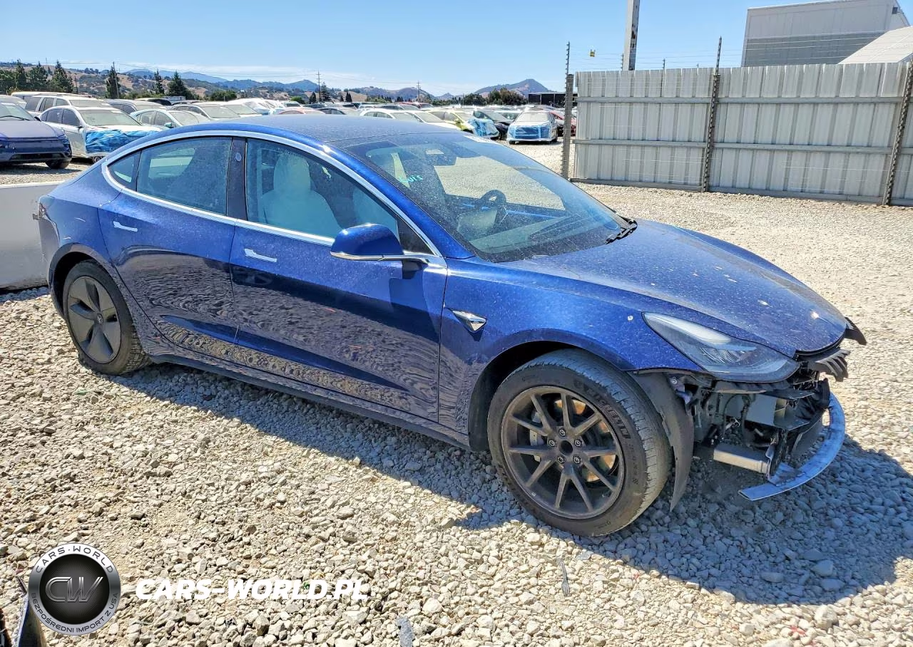 2019 Tesla Model 3 VIN:5YJ3E1EA6KF317968 - 4