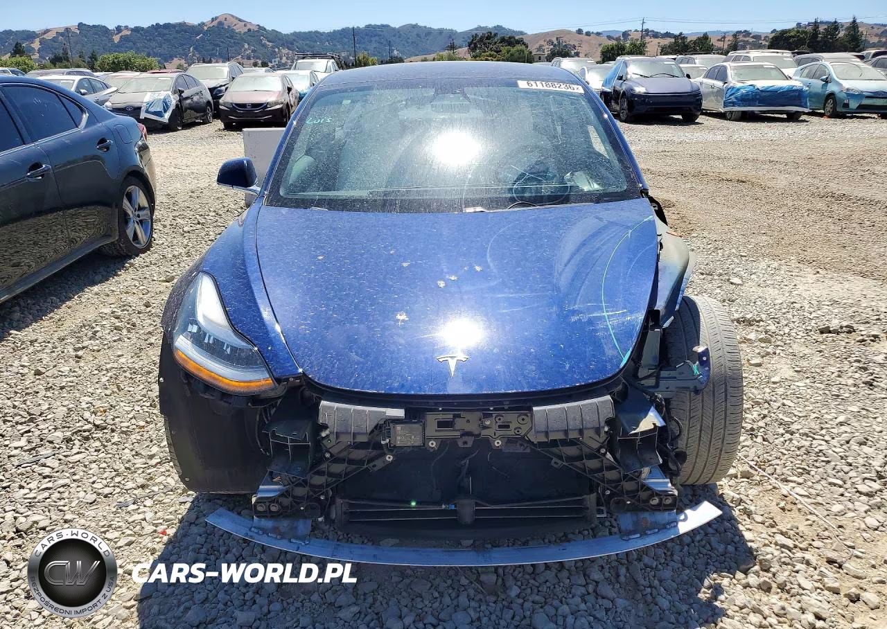 2019 Tesla Model 3 VIN:5YJ3E1EA6KF317968 - 5