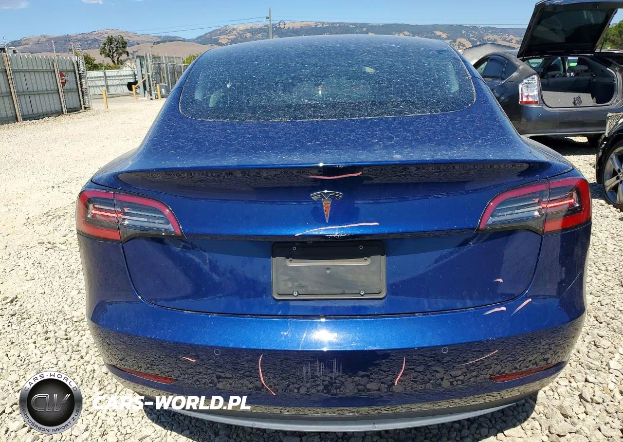 2019 Tesla Model 3 VIN:5YJ3E1EA6KF317968 - 6
