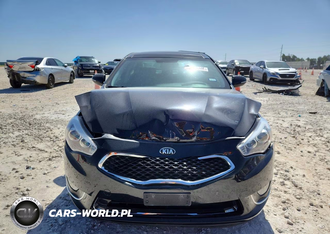 2014 Kia Cadenza Premium VIN:KNALN4D75E5135138 - 11