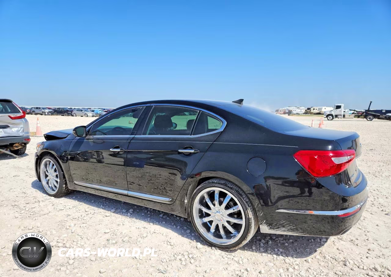 2014 Kia Cadenza Premium VIN:KNALN4D75E5135138 - 2