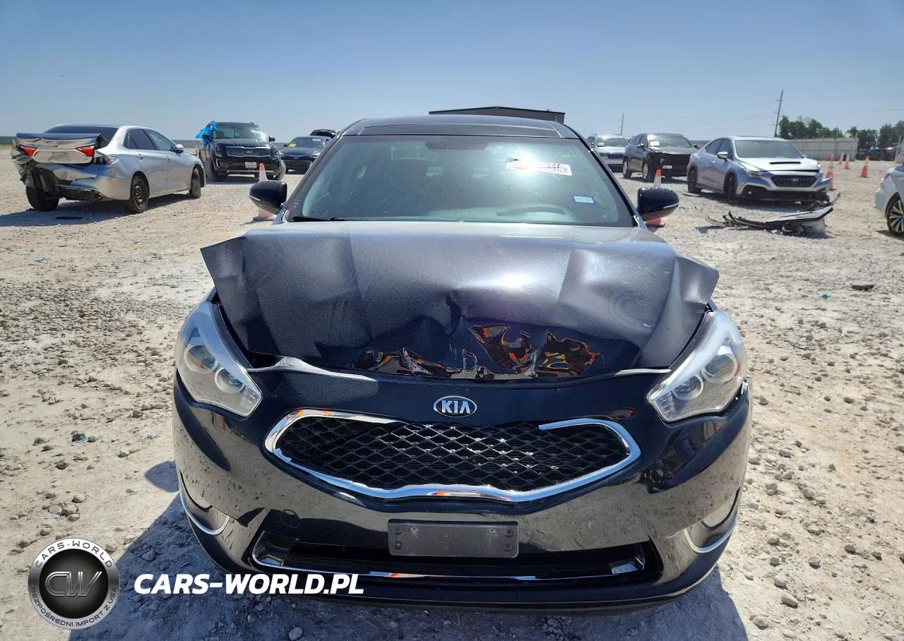 2014 Kia Cadenza Premium VIN:KNALN4D75E5135138 - 5