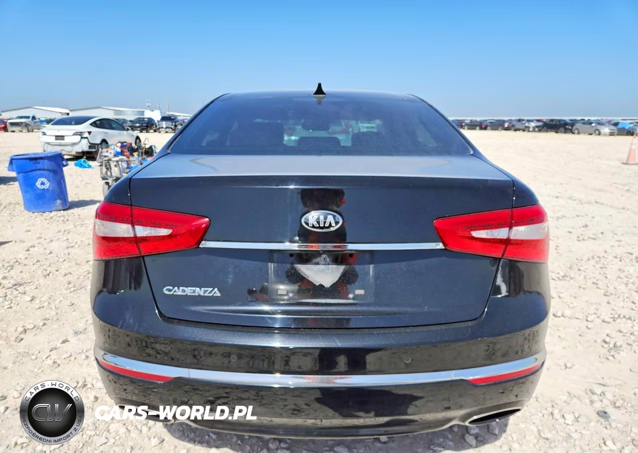 2014 Kia Cadenza Premium VIN:KNALN4D75E5135138 - 6