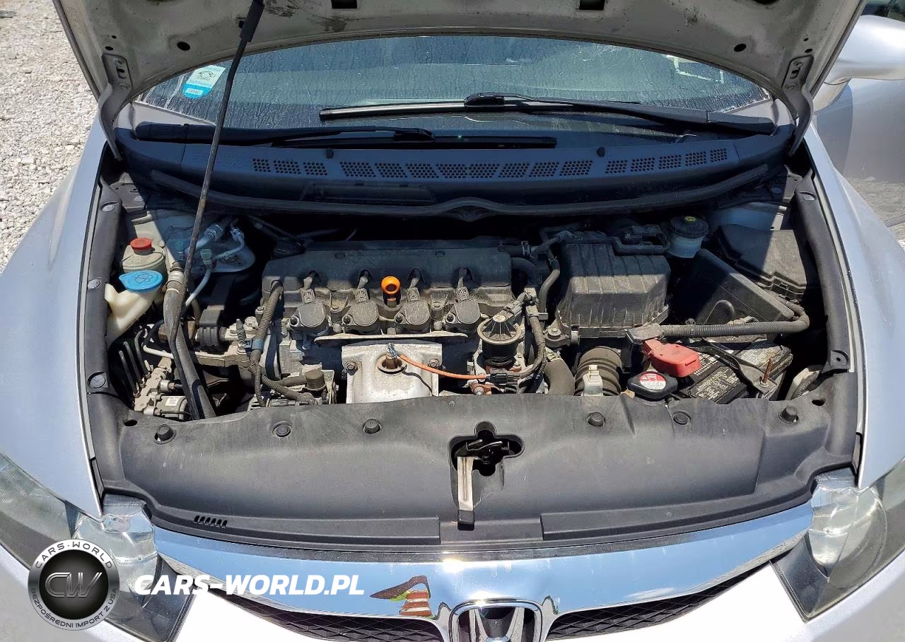 2010 Honda Civic Lx VIN:2HGFA1F59AH316799 - 11
