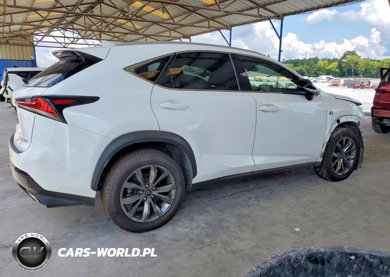 2018 Lexus Nx 300 F Sport VIN:JTJYARBZ1J2091329 - 3