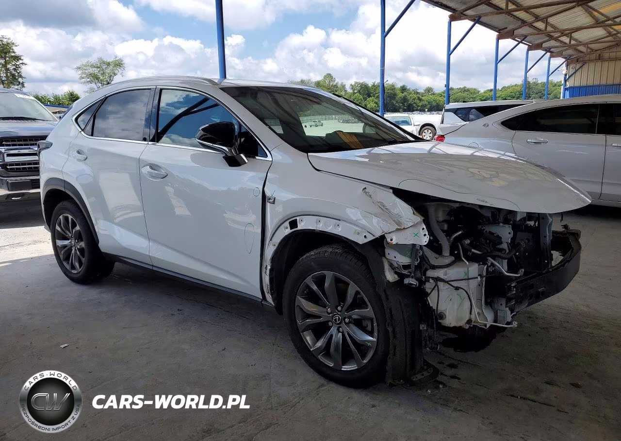 2018 Lexus Nx 300 F Sport VIN:JTJYARBZ1J2091329 - 4