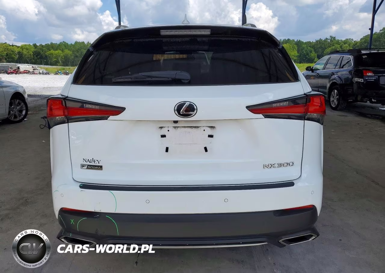 2018 Lexus Nx 300 F Sport VIN:JTJYARBZ1J2091329 - 6