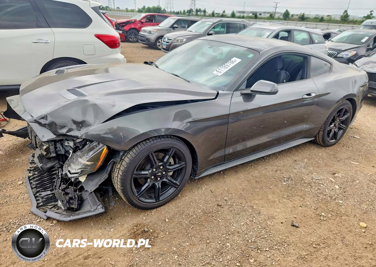 2019 Ford Mustang