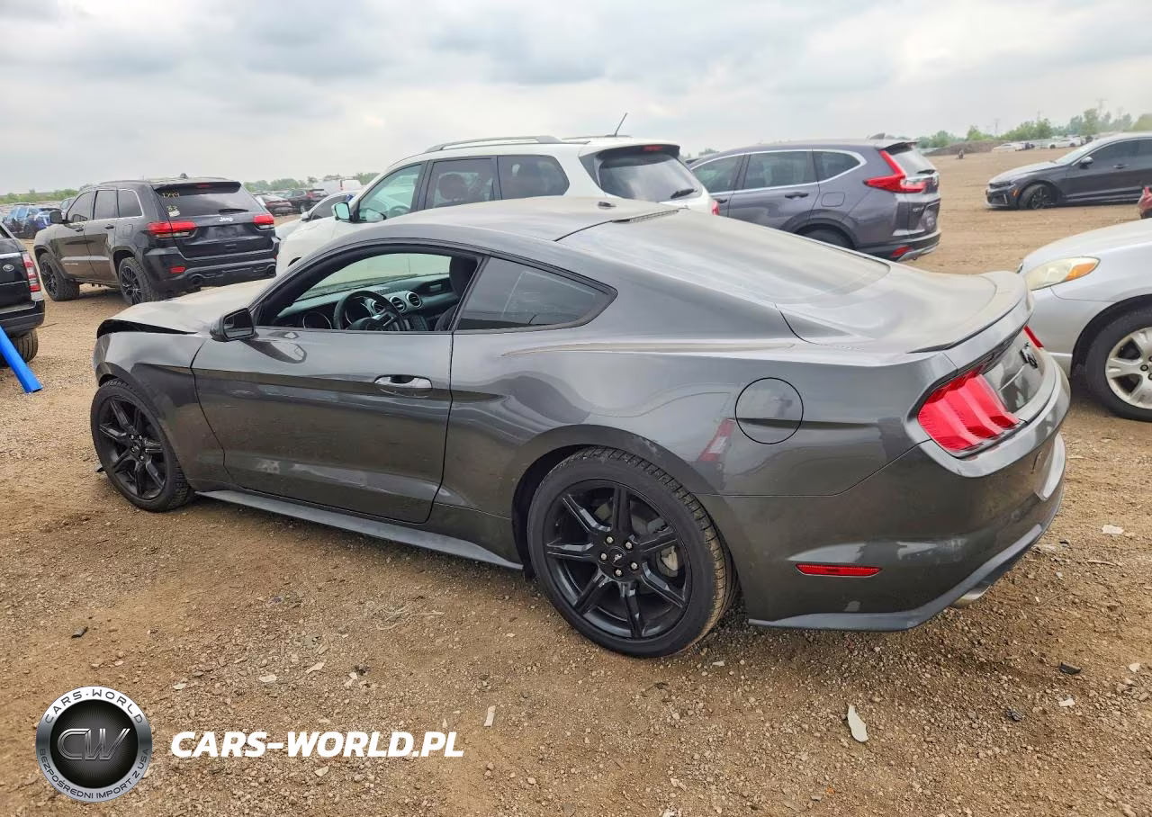 2019 Ford Mustang VIN:1FA6P8TH9K5174084 - 2