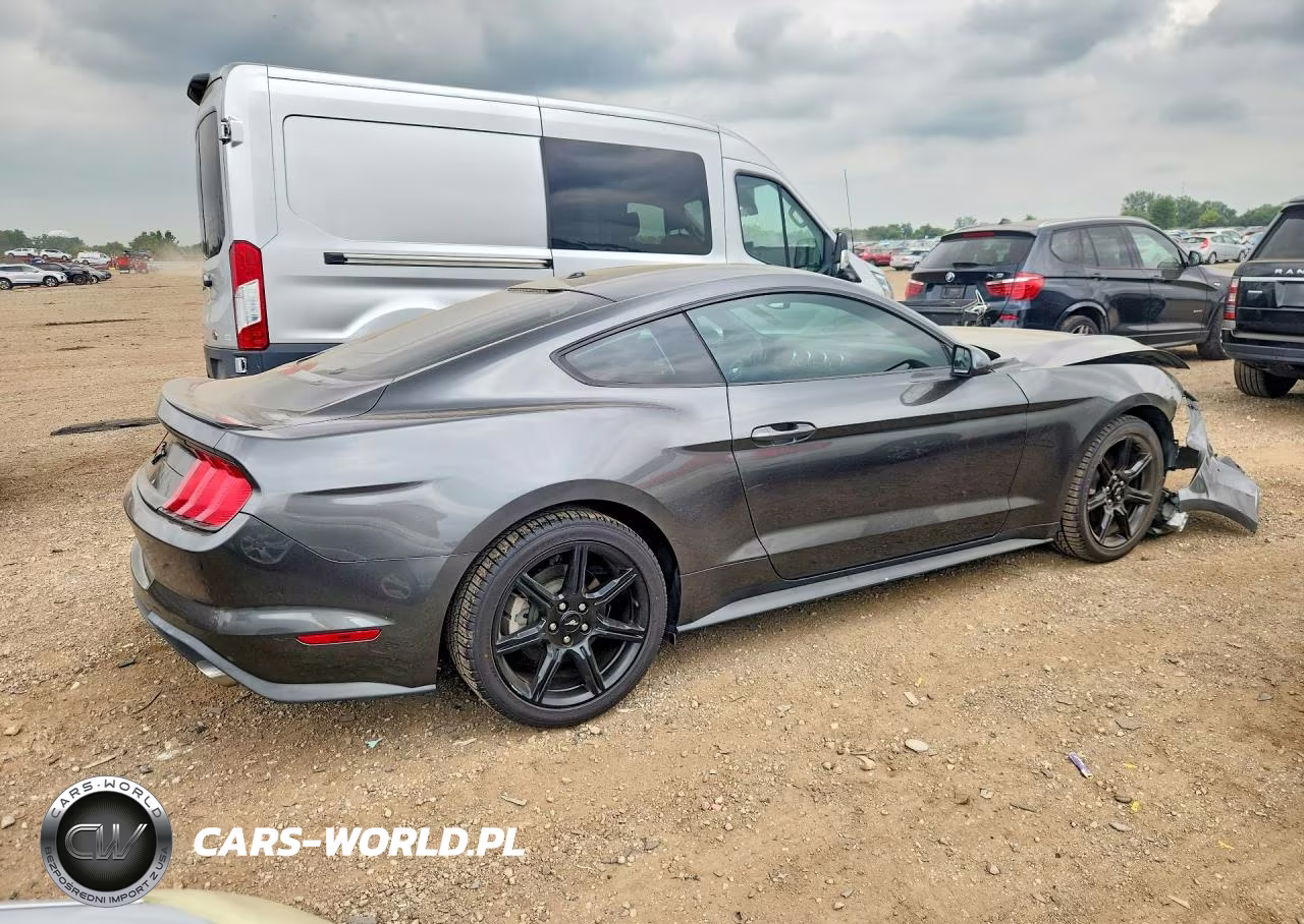 2019 Ford Mustang VIN:1FA6P8TH9K5174084 - 3