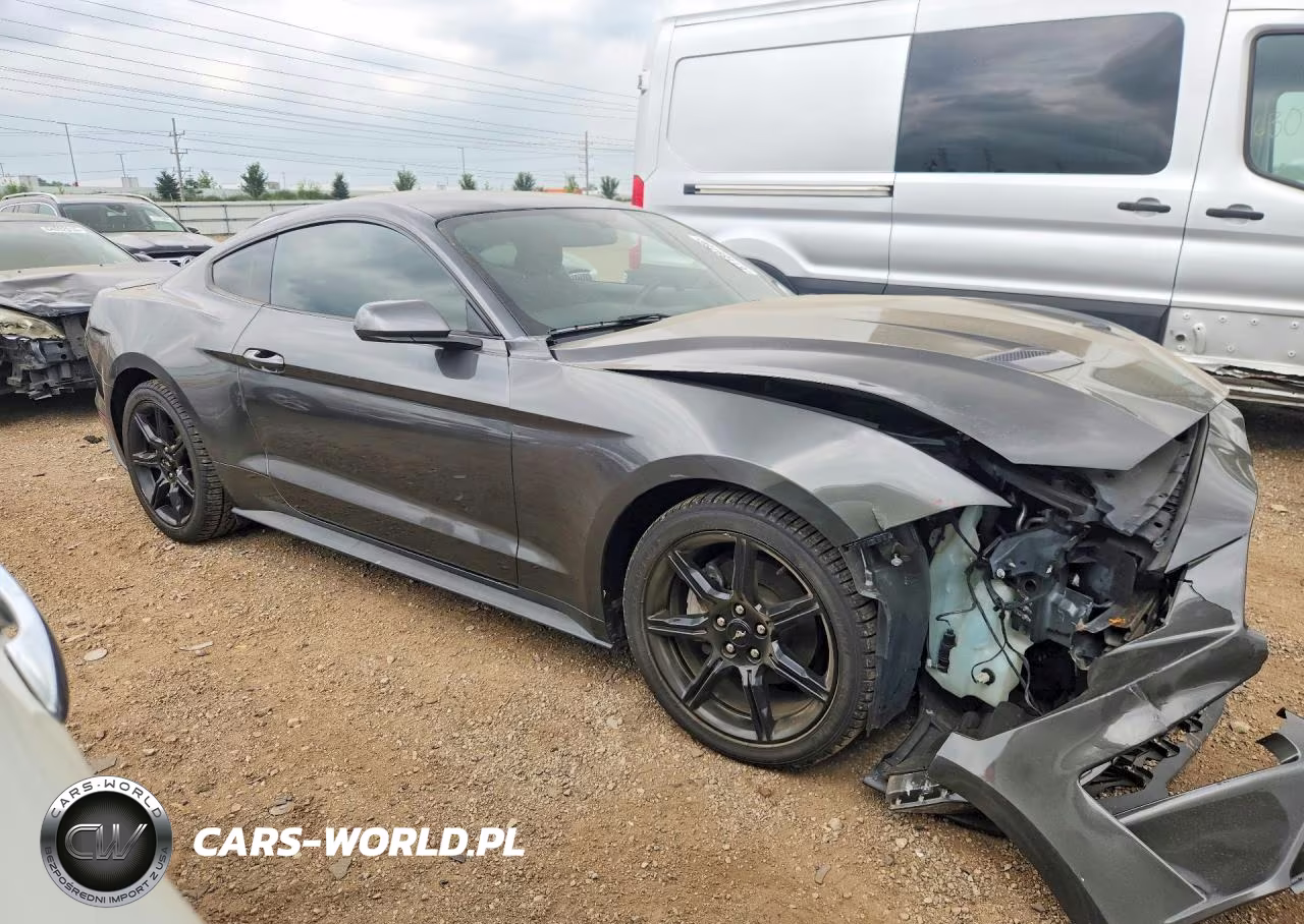 2019 Ford Mustang VIN:1FA6P8TH9K5174084 - 4