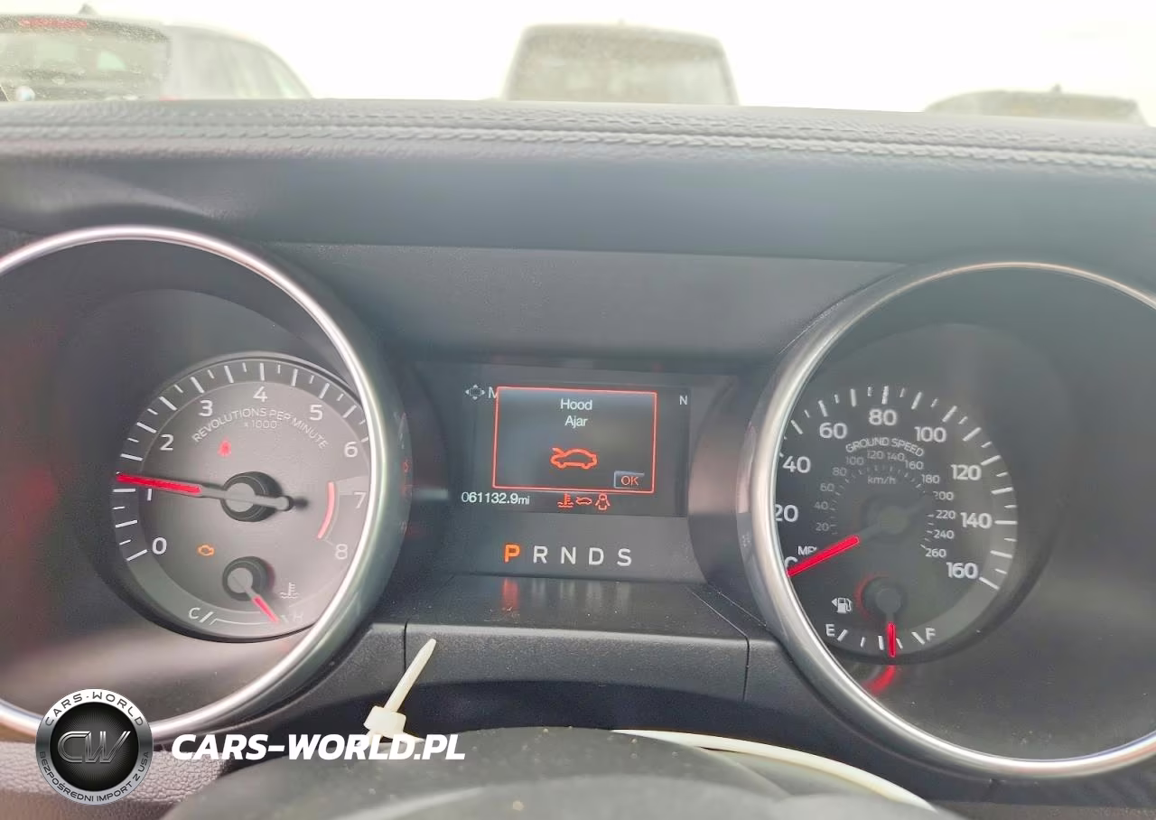 2019 Ford Mustang VIN:1FA6P8TH9K5174084 - 9