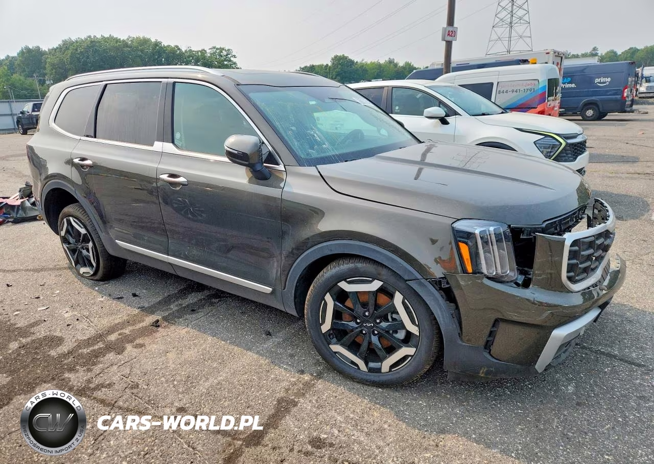 2025 Kia Telluride S VIN:5XYP6DGC6SG689947 - 4