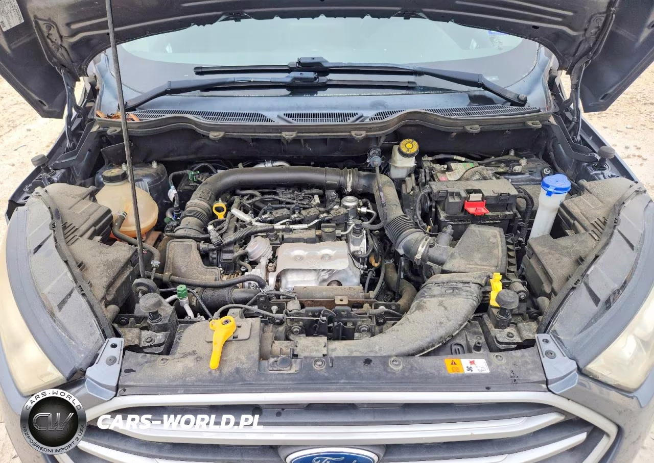 2018 Ford Ecosport Se VIN:MAJ3P1TE3JC193210 - 11