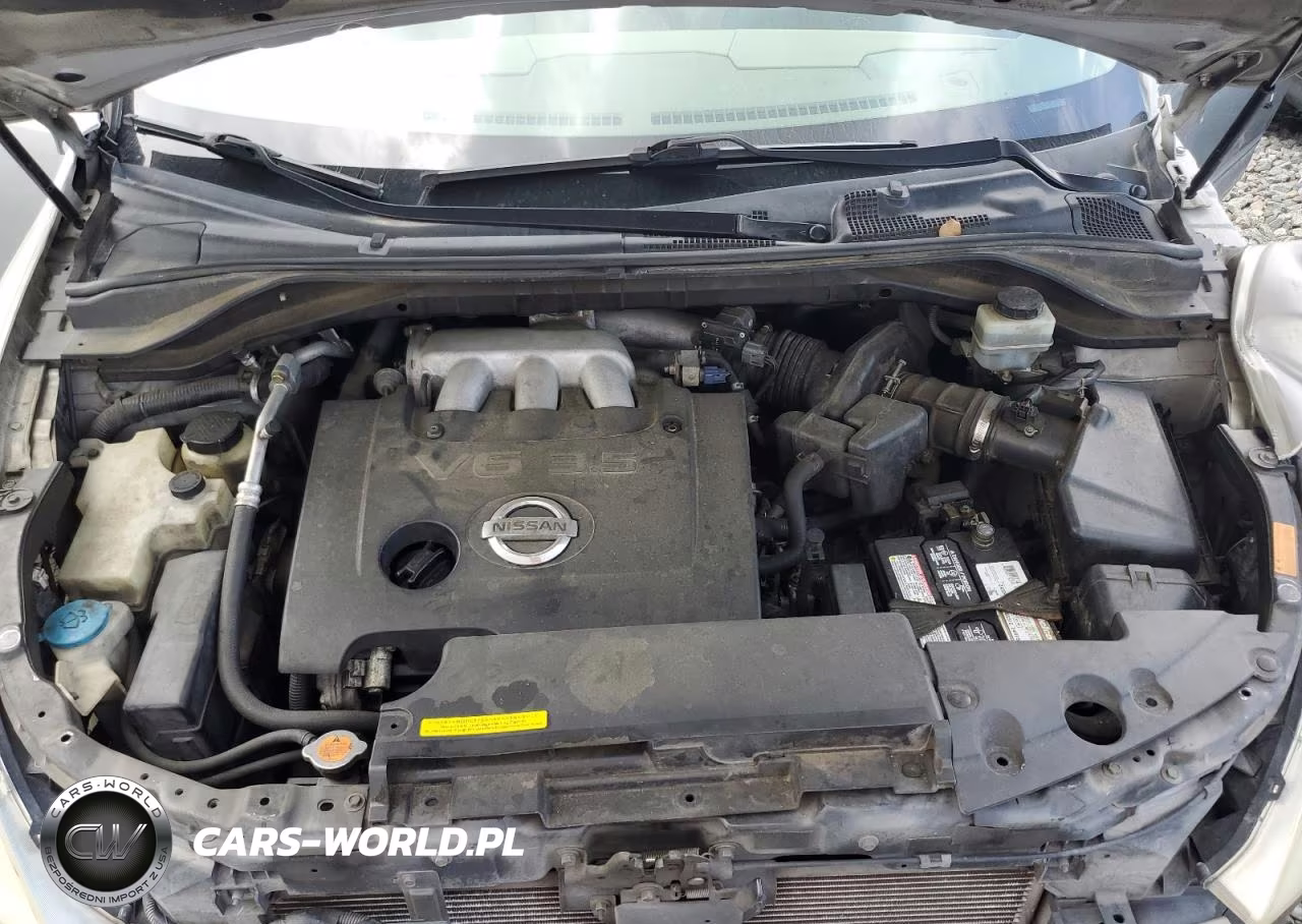 2005 Nissan Murano Sl VIN:JN8AZ08TX5W317740 - 11