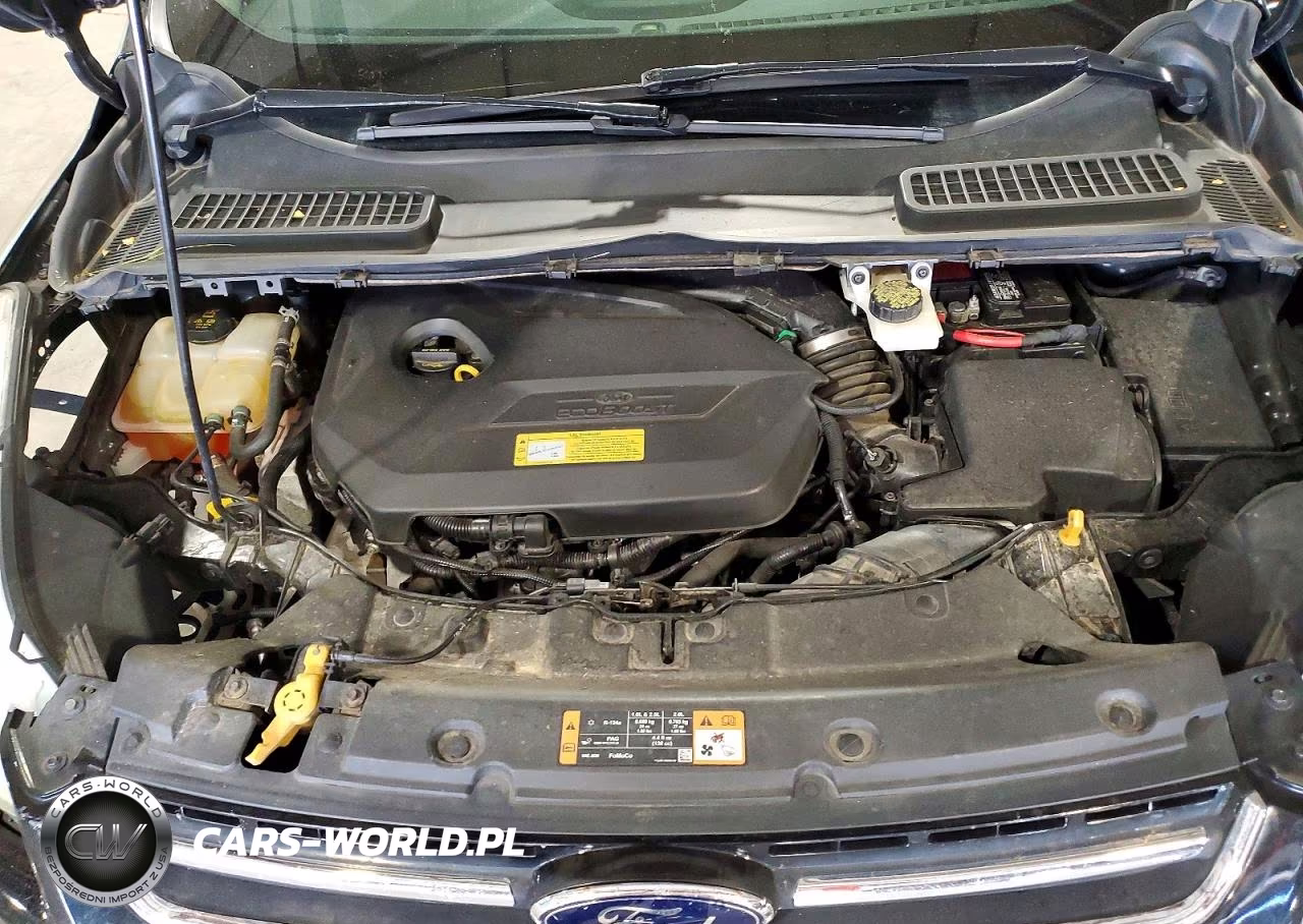 2014 Ford Escape Se VIN:1FMCU0GX0EUB84775 - 12
