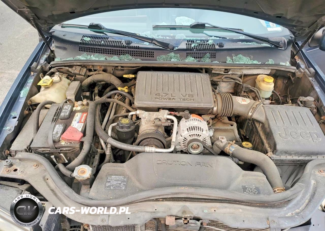 2002 Jeep Grand Cherokee Limited VIN:1J4GW58N92C179094 - 12