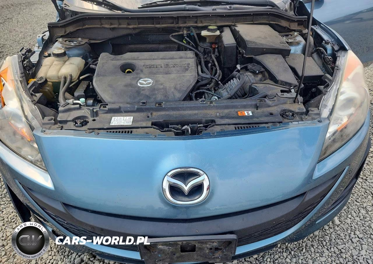 2010 Mazda 3 I VIN:JM1BL1SG3A1295297 - 11