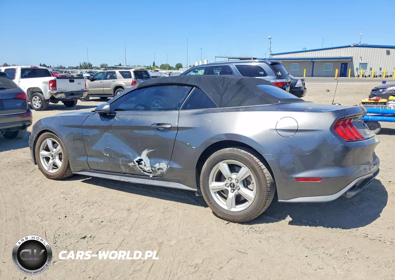 2019 Ford Mustang VIN:1FATP8UH7K5193363 - 2