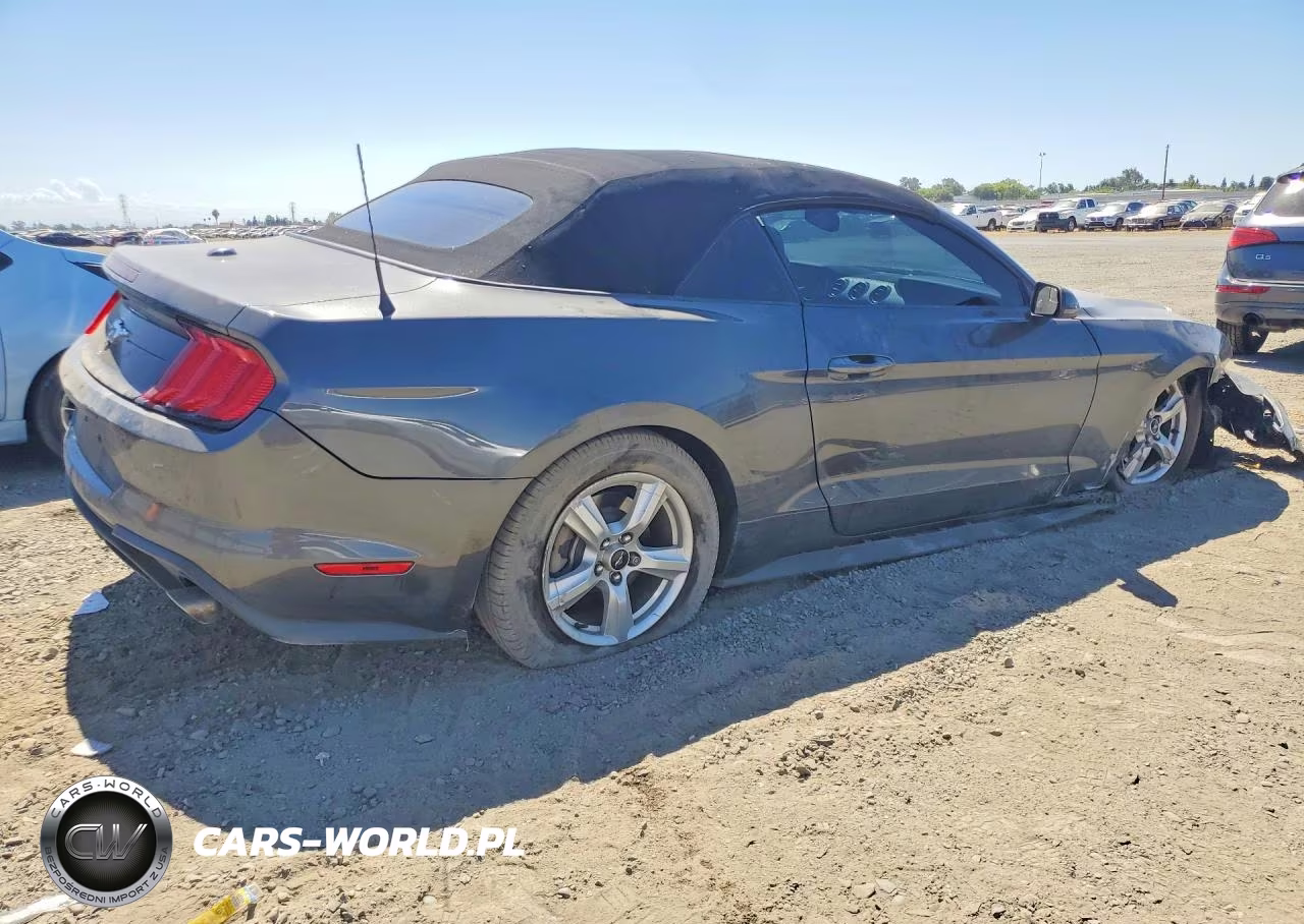 2019 Ford Mustang VIN:1FATP8UH7K5193363 - 3