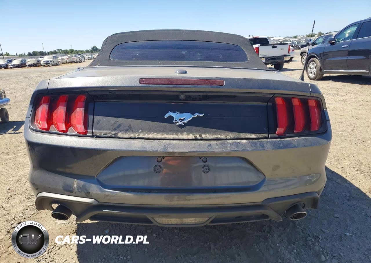 2019 Ford Mustang VIN:1FATP8UH7K5193363 - 6