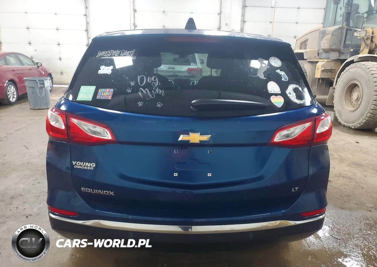 2019 Chevrolet Equinox Lt VIN:3GNAXJEV1KL339728 - 6