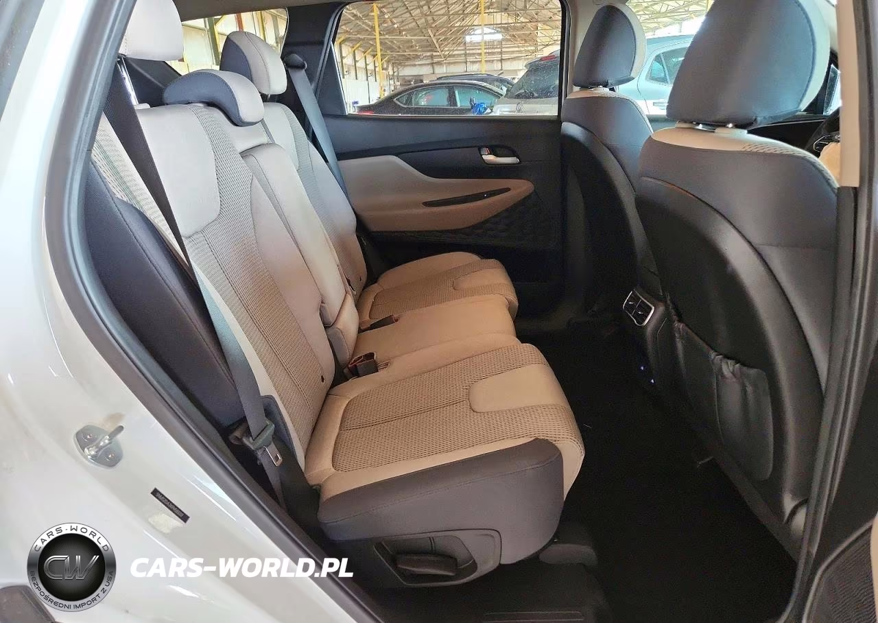 2023 Hyundai Santa Fe Sel VIN:5NMS2DAJXPH583317 - 10
