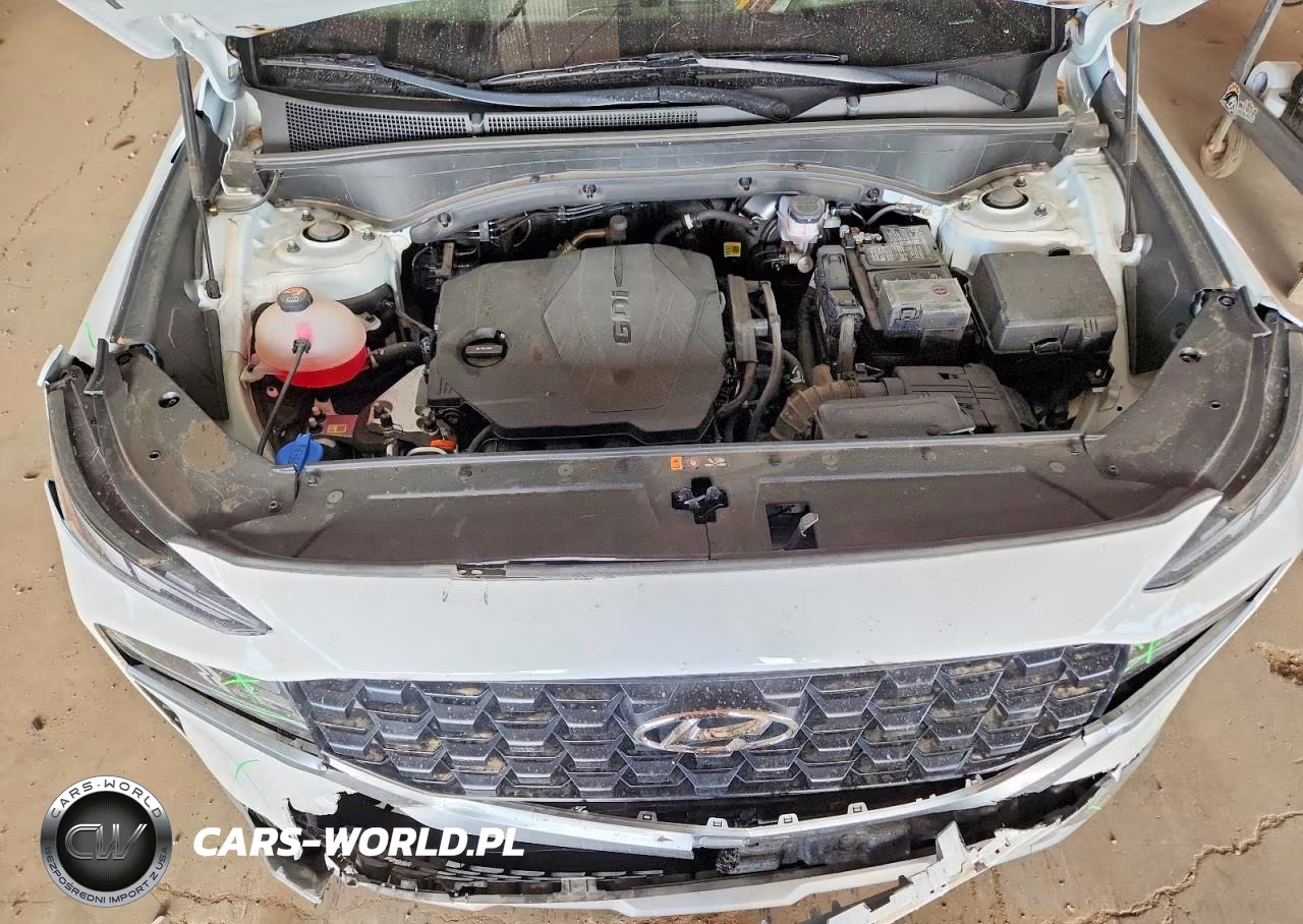 2023 Hyundai Santa Fe Sel VIN:5NMS2DAJXPH583317 - 11