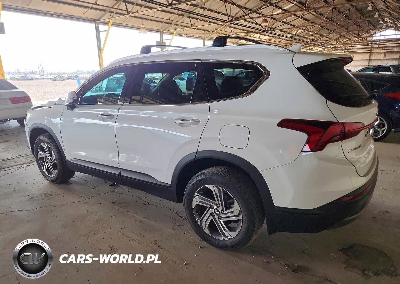 2023 Hyundai Santa Fe Sel VIN:5NMS2DAJXPH583317 - 2