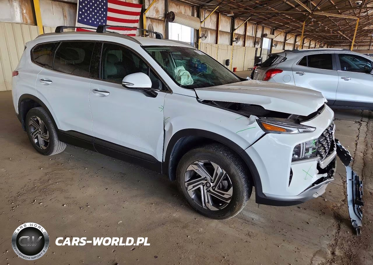2023 Hyundai Santa Fe Sel VIN:5NMS2DAJXPH583317 - 4