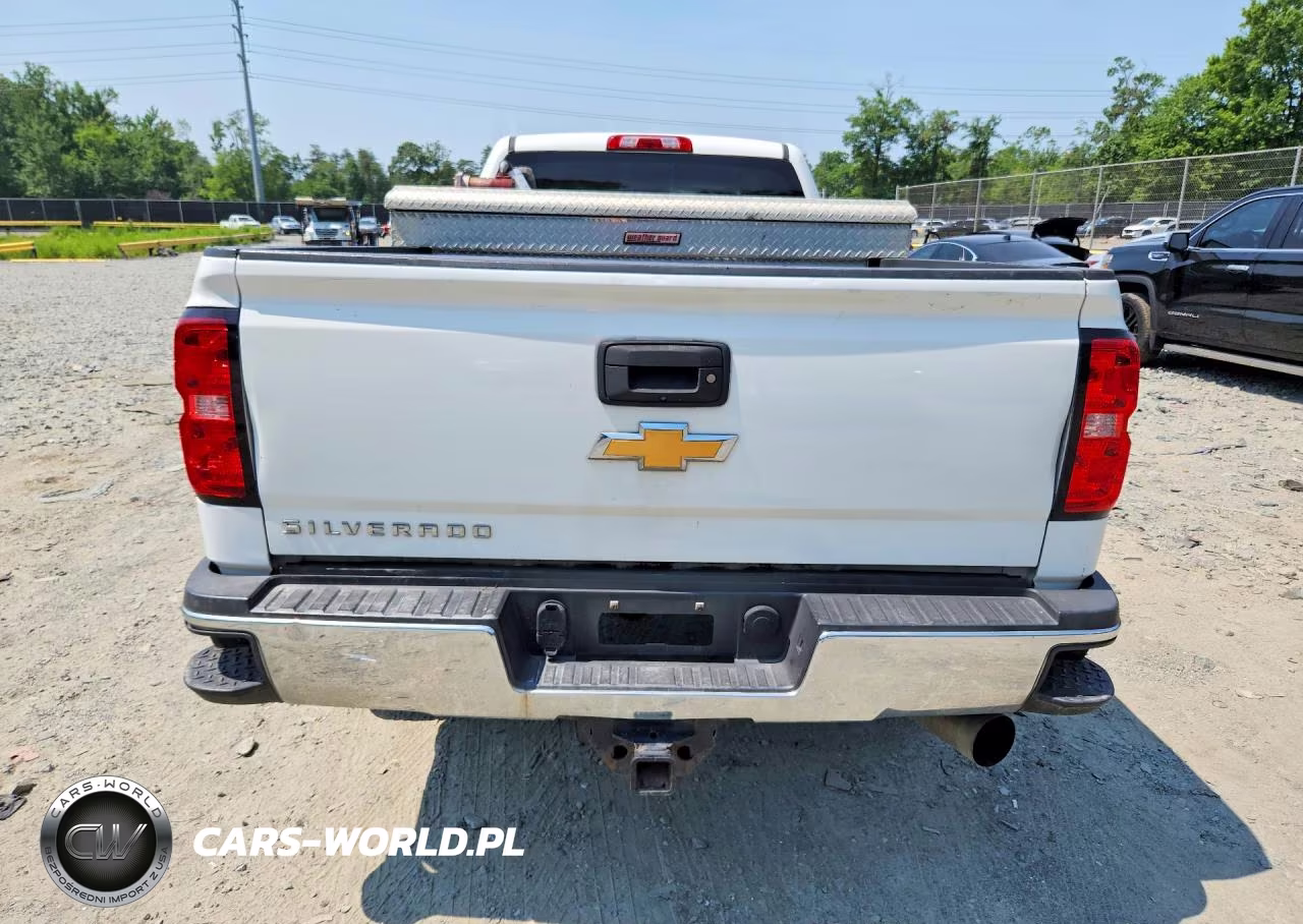2018 Chevrolet Silverado K2500 Heavy Duty VIN:1GC1KUEY4JF247945 - 6