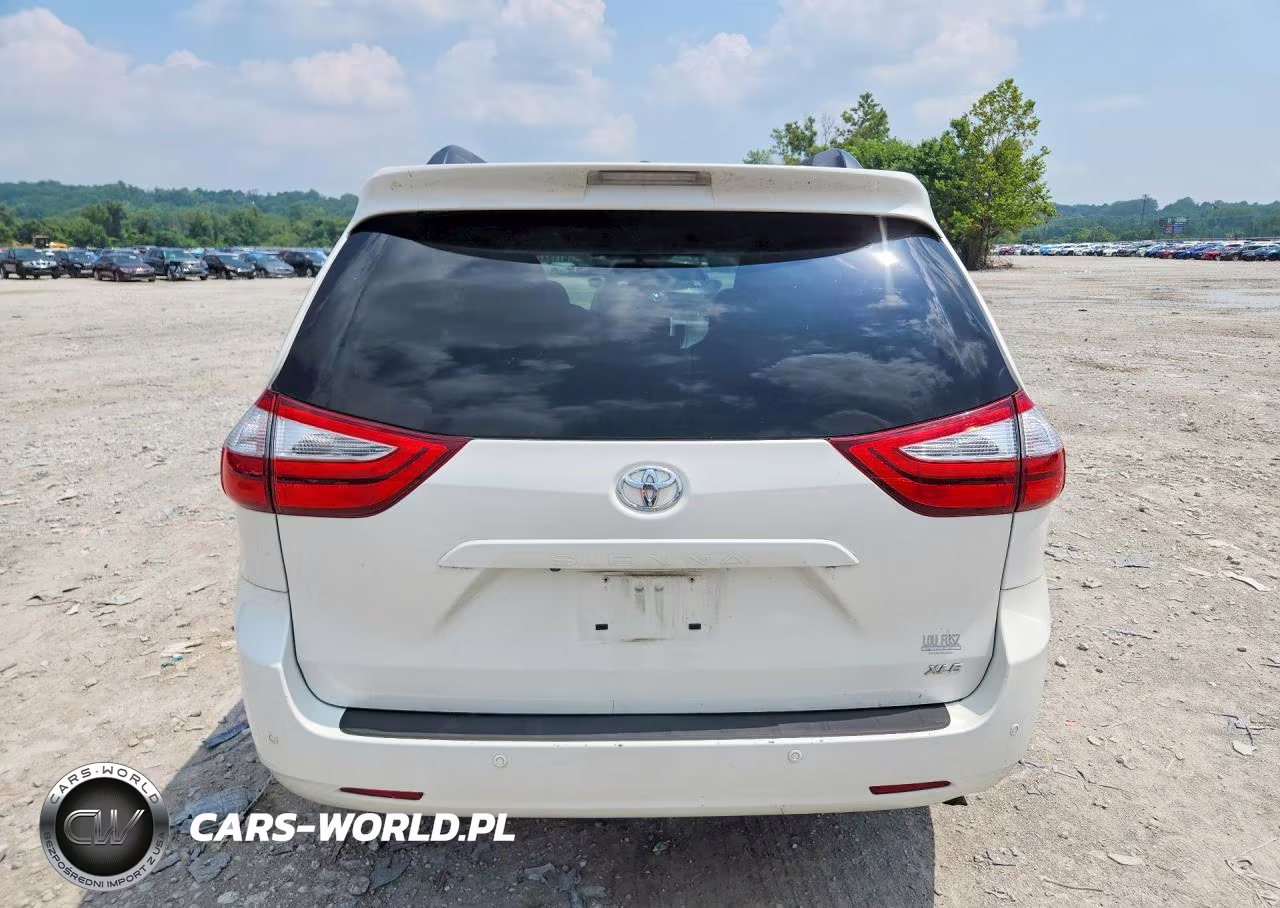 2017 Toyota Sienna Xle Premium 8-Passenger VIN:5TDYZ3DCXHS861399 - 6