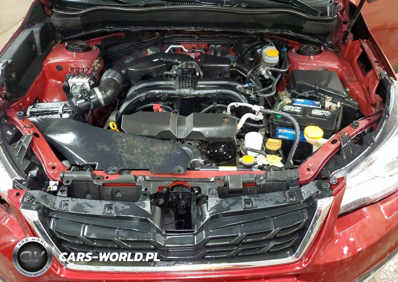 2017 Subaru Forester 2.5I Premium VIN:JF2SJAEC5HH527173 - 12