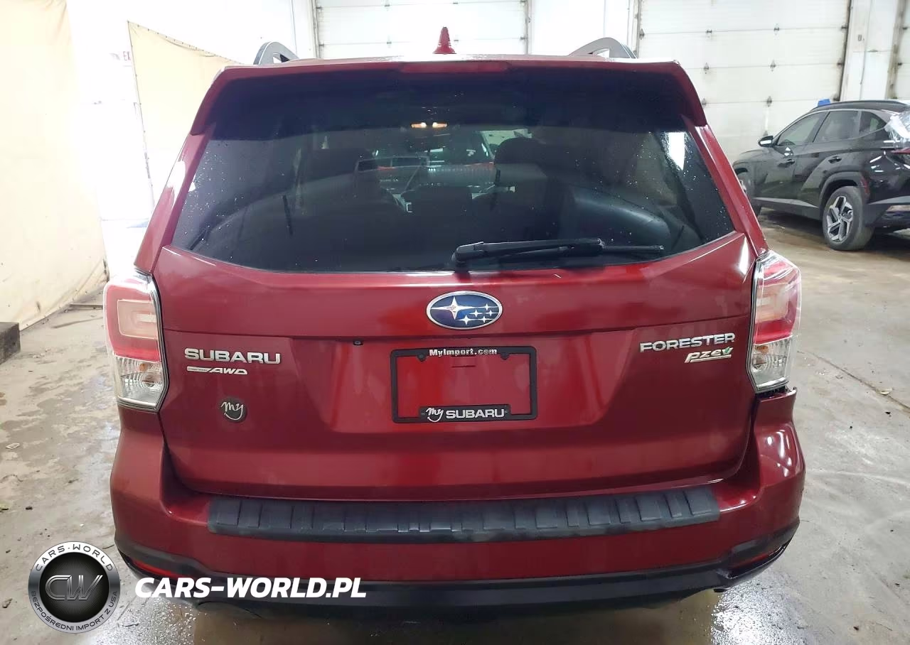 2017 Subaru Forester 2.5I Premium VIN:JF2SJAEC5HH527173 - 6