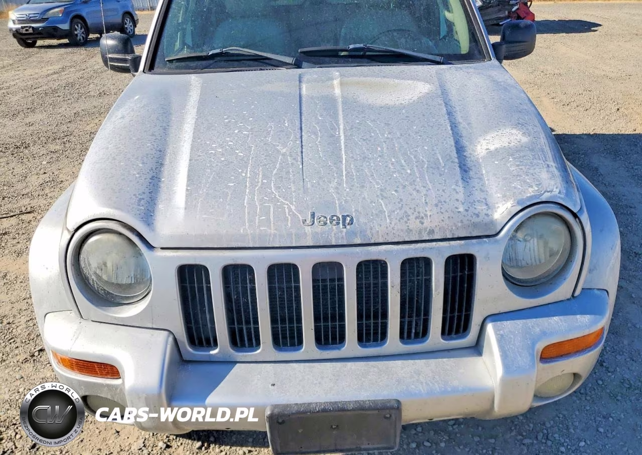 2004 Jeep Liberty Limited VIN:1J4GK58K04W113438 - 11