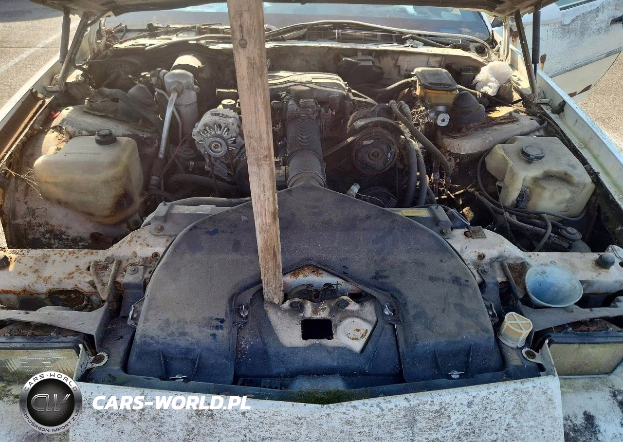 1989 Chevrolet Camaro VIN:1G1FP21S2KL196177 - 11