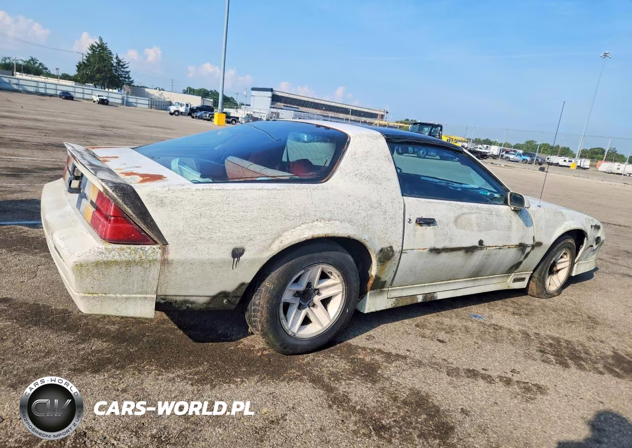 1989 Chevrolet Camaro VIN:1G1FP21S2KL196177 - 3