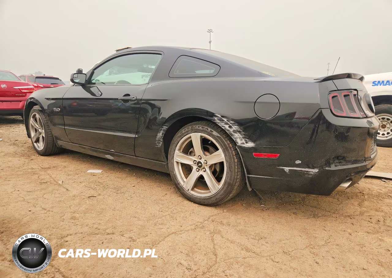 2014 Ford Mustang Gt VIN:1ZVBP8CF7E5269879 - 2