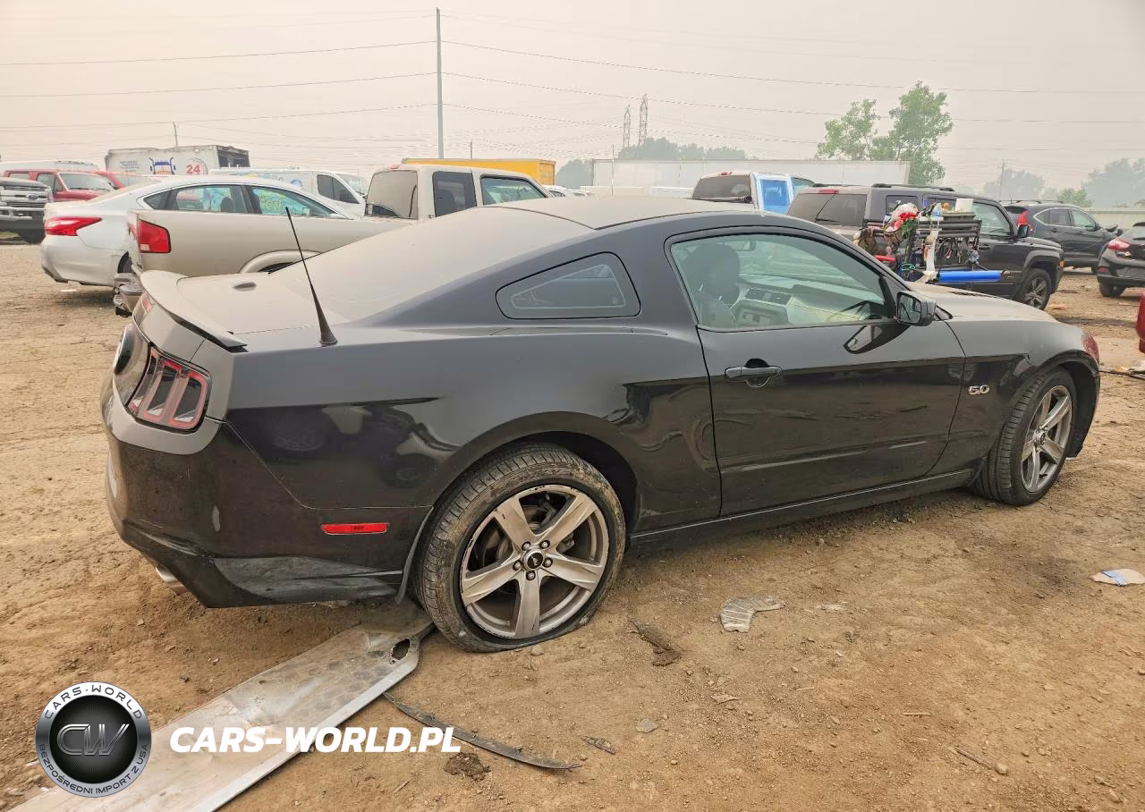 2014 Ford Mustang Gt VIN:1ZVBP8CF7E5269879 - 3
