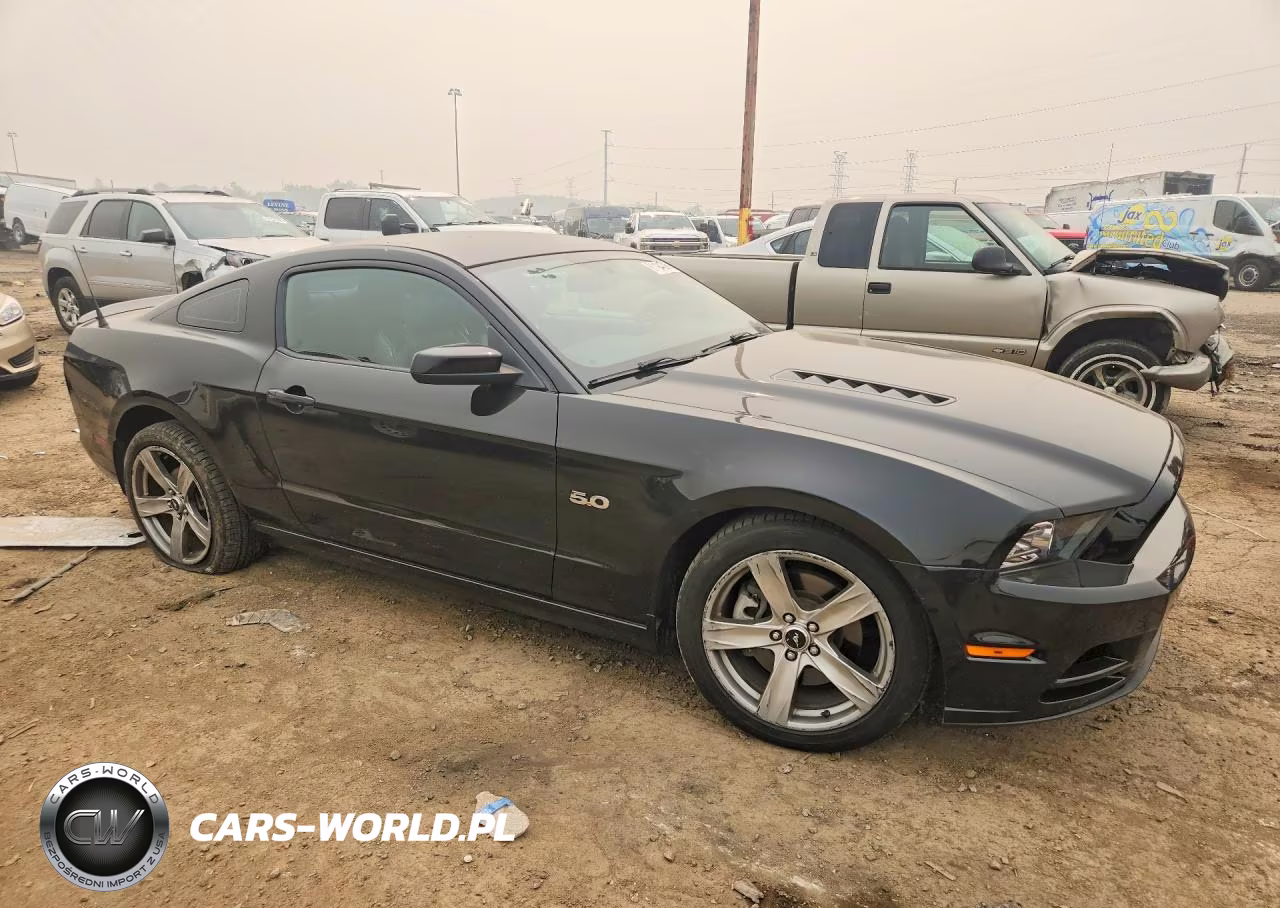 2014 Ford Mustang Gt VIN:1ZVBP8CF7E5269879 - 4