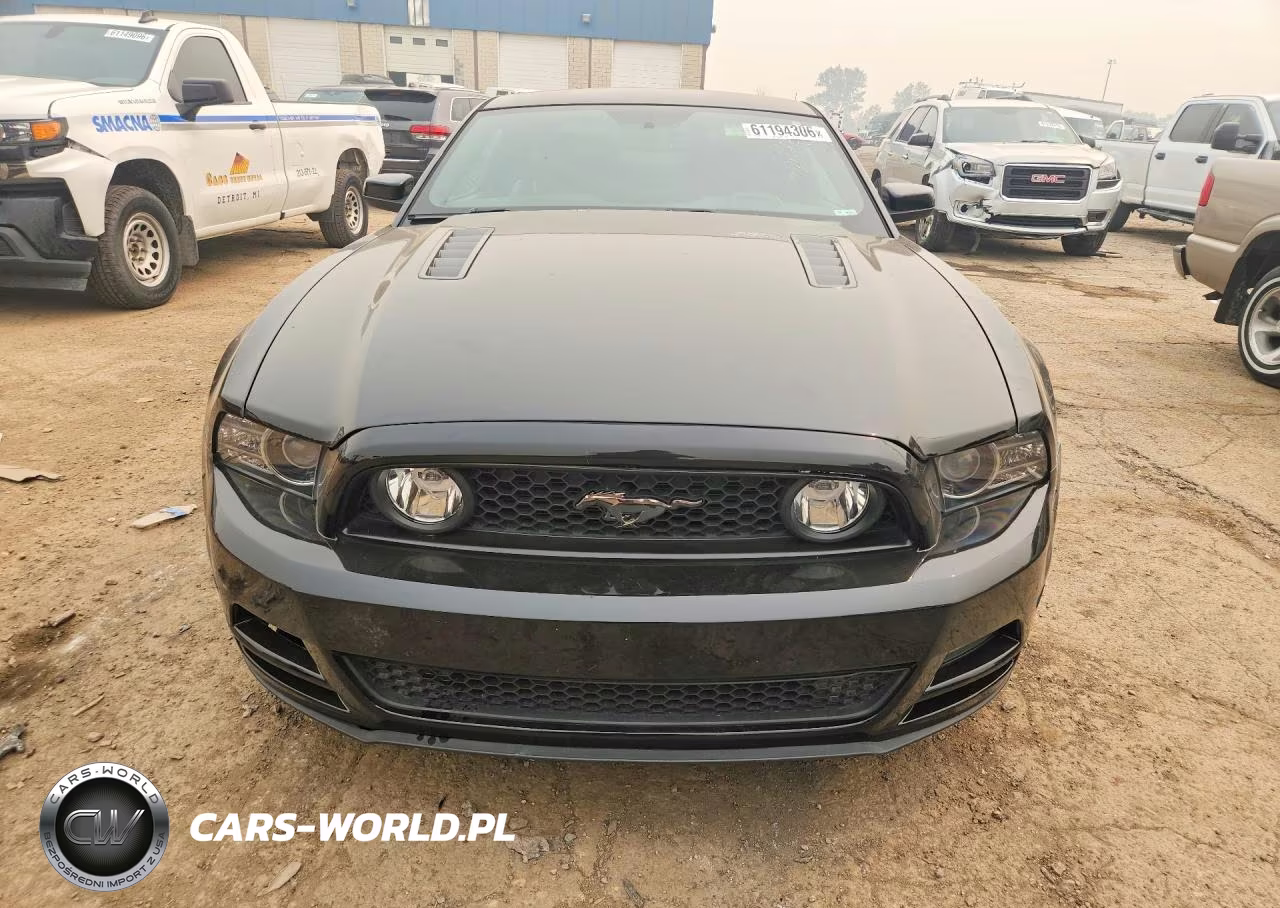 2014 Ford Mustang Gt VIN:1ZVBP8CF7E5269879 - 5