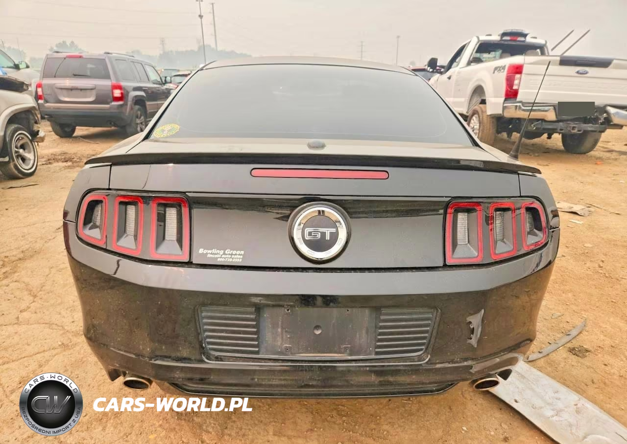 2014 Ford Mustang Gt VIN:1ZVBP8CF7E5269879 - 6