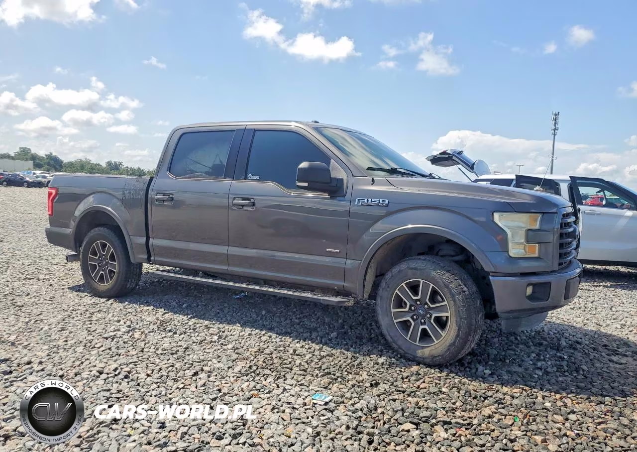 2015 Ford F-150 VIN:1FTEW1CP1FFB78587 - 4
