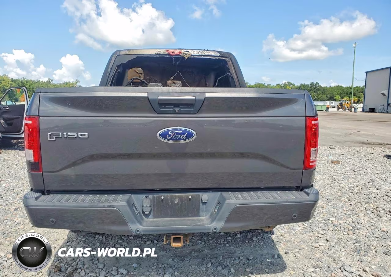 2015 Ford F-150 VIN:1FTEW1CP1FFB78587 - 6