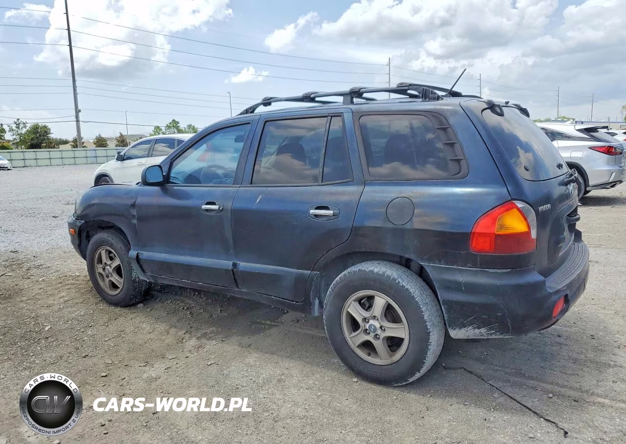 2004 Hyundai Santa Fe Gls VIN:KM8SC13D84U745755 - 2